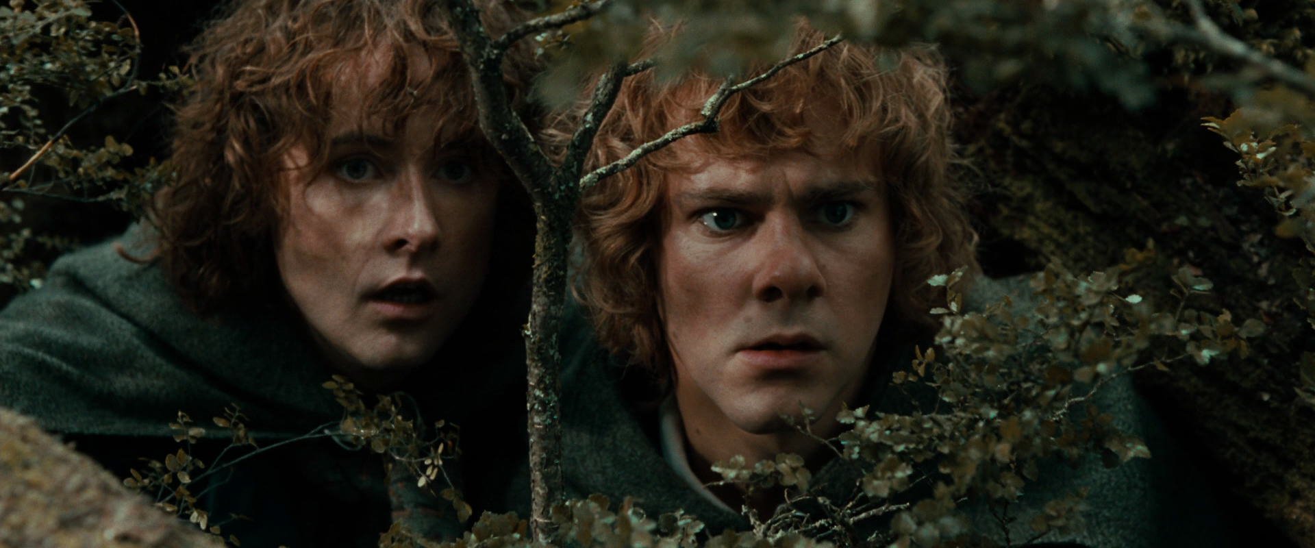 The Lord of the Rings: The Fellowship of the Ring (2001) HD screenshot 22031