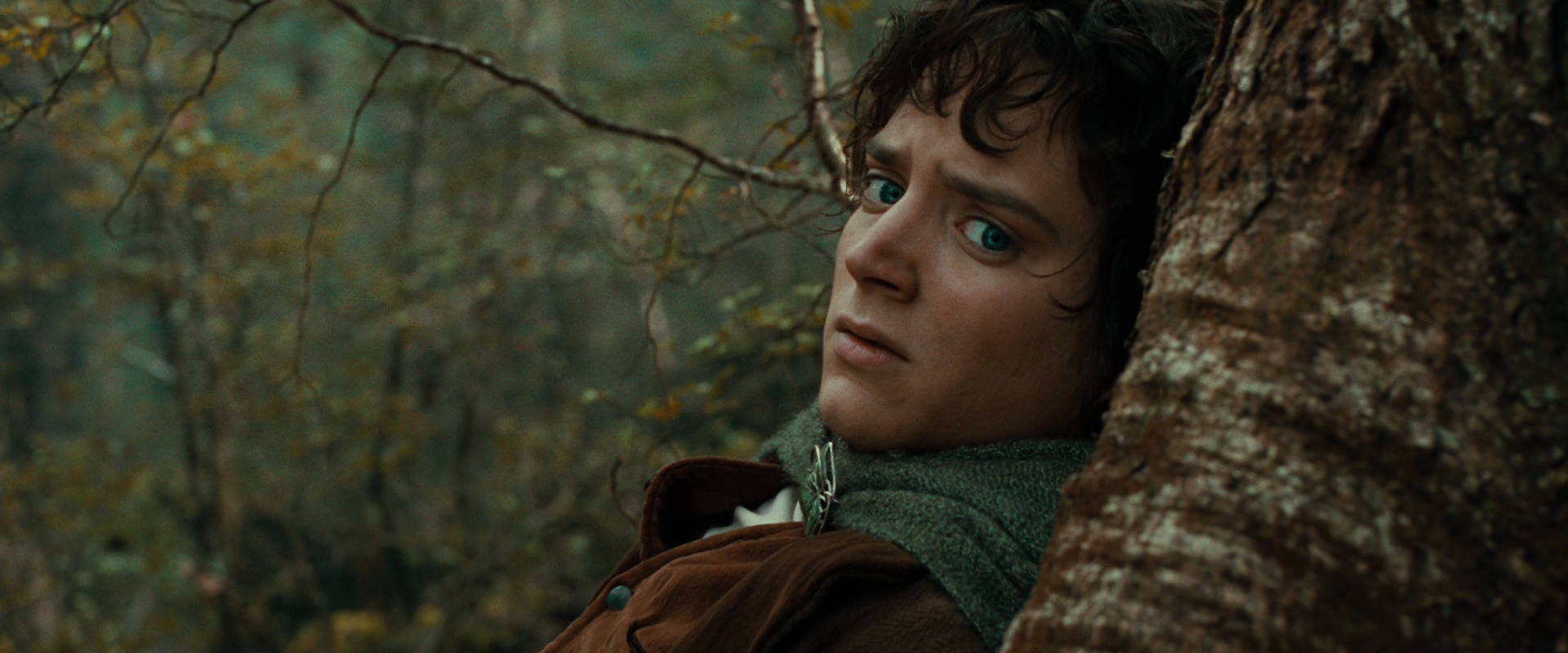 The Lord of the Rings: The Fellowship of the Ring (2001) screencap 22032