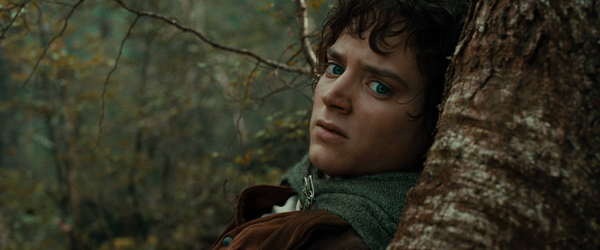 The Lord of the Rings: The Fellowship of the Ring (2001) movie still 22033