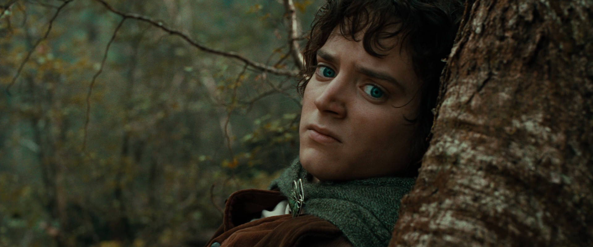 The Lord of the Rings: The Fellowship of the Ring (2001) HD screenshot 22034