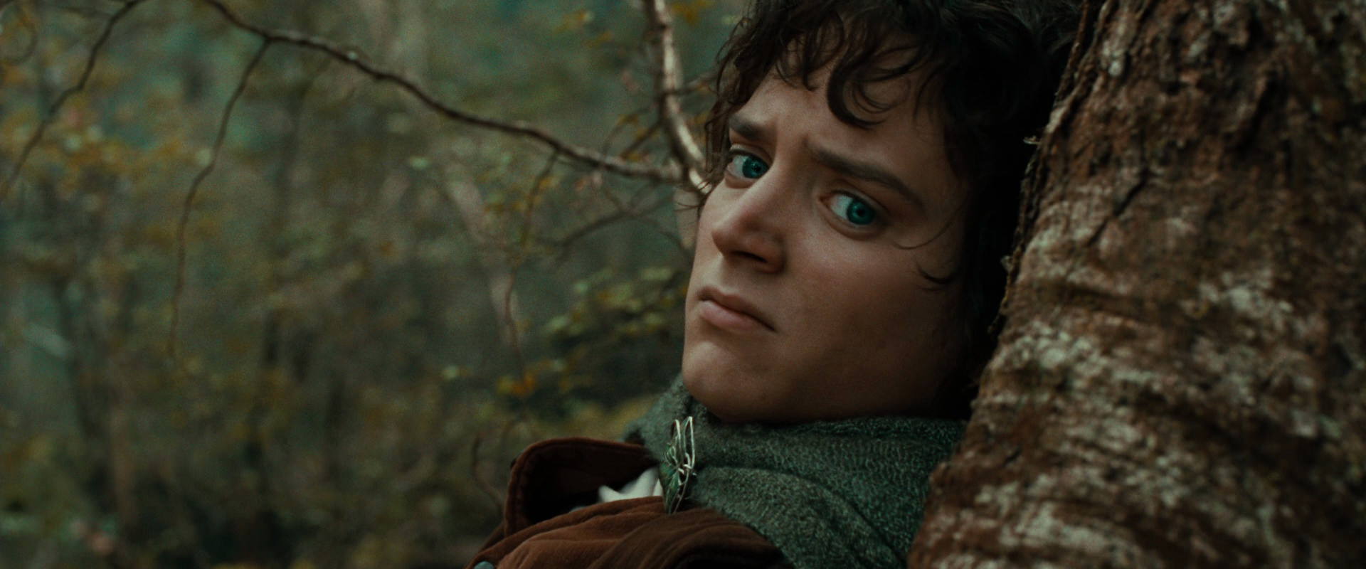 The Lord of the Rings: The Fellowship of the Ring (2001) screencap 22035