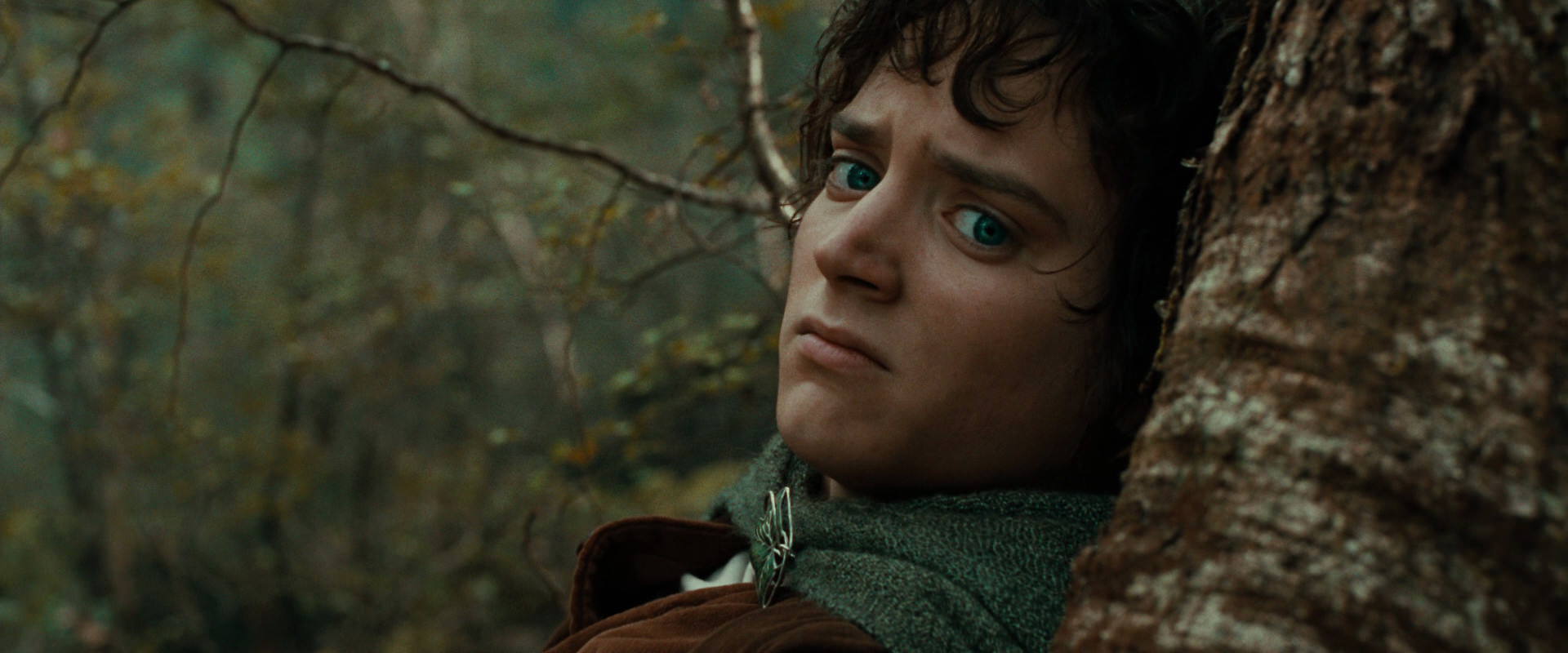 The Lord of the Rings: The Fellowship of the Ring (2001) movie still 22036