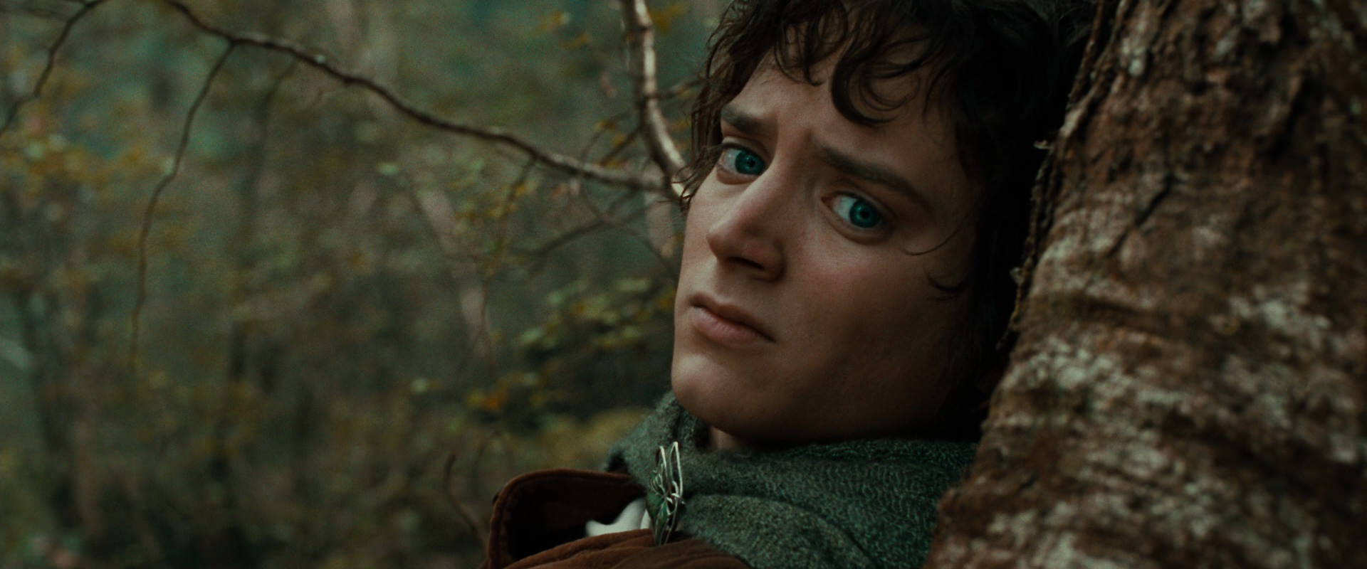 The Lord of the Rings: The Fellowship of the Ring (2001) HD screenshot 22037