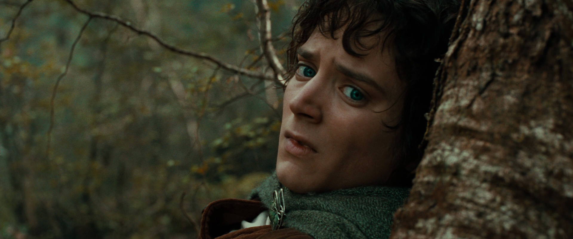 The Lord of the Rings: The Fellowship of the Ring (2001) screencap 22038