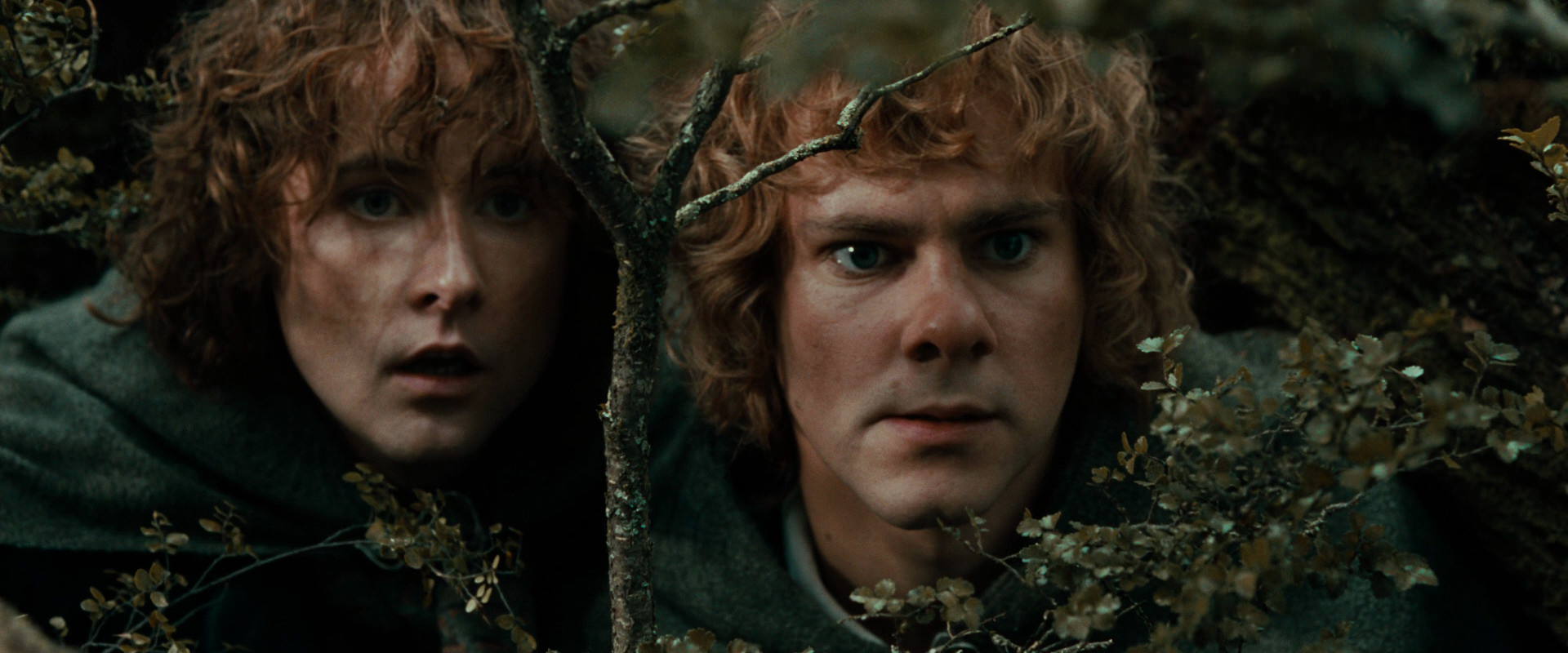 The Lord of the Rings: The Fellowship of the Ring (2001) movie still 22039
