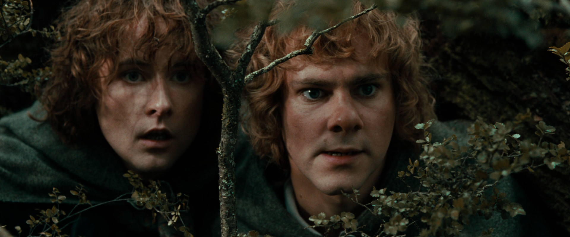 The Lord of the Rings: The Fellowship of the Ring (2001) HD screenshot 22040