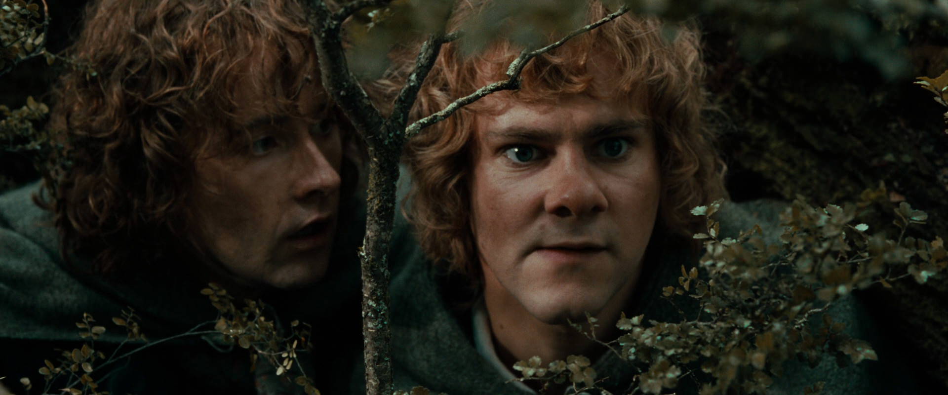 The Lord of the Rings: The Fellowship of the Ring (2001) screencap 22041