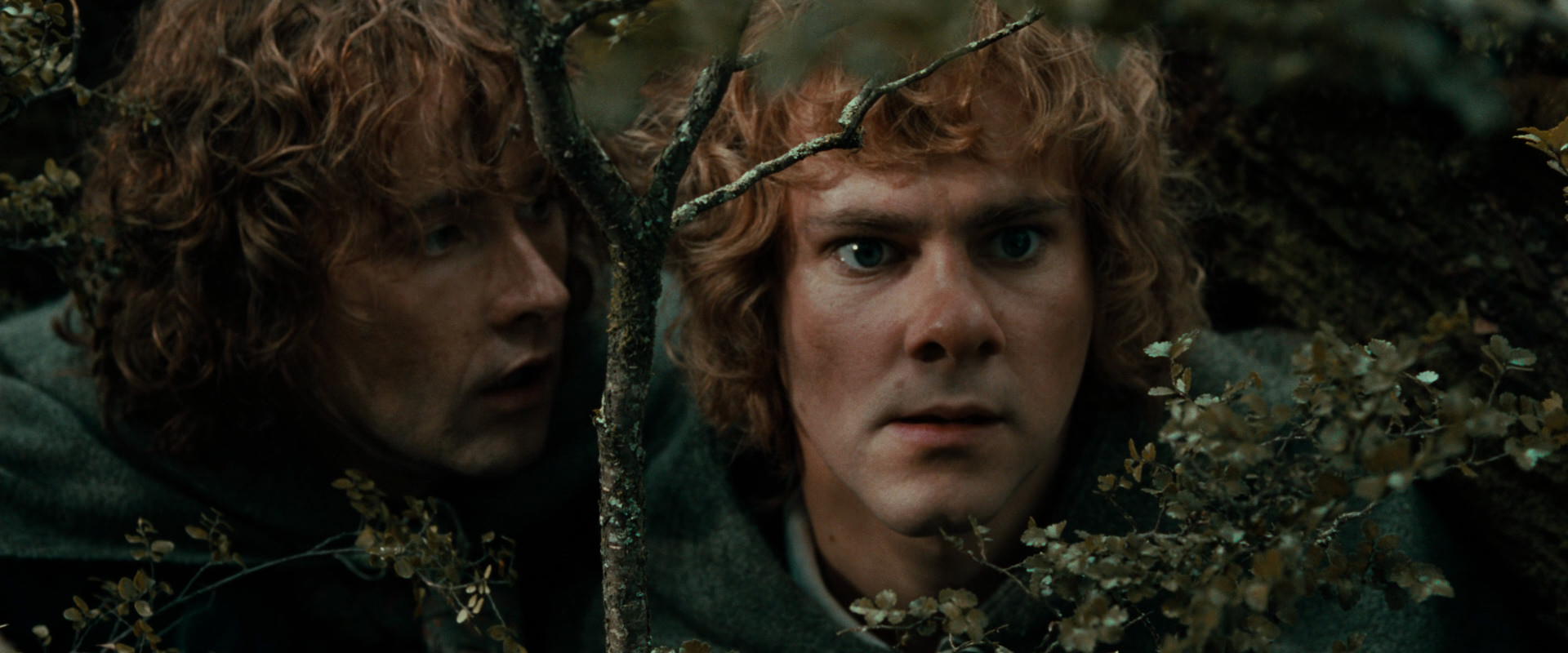 The Lord of the Rings: The Fellowship of the Ring (2001) movie still 22042