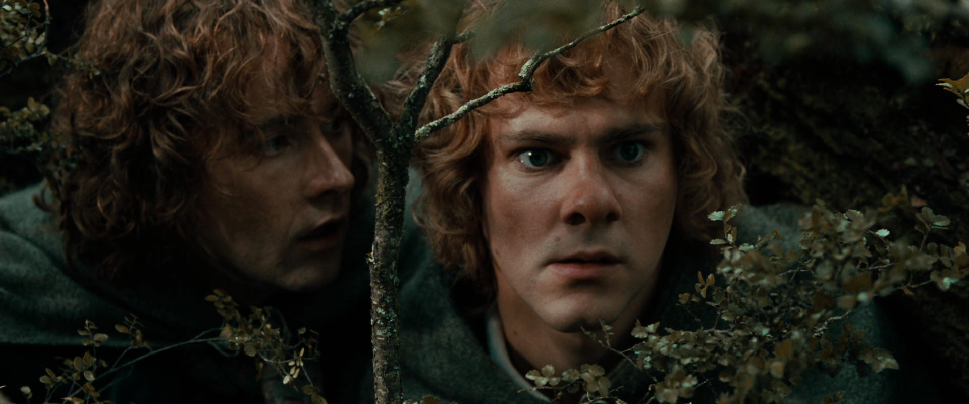 The Lord of the Rings: The Fellowship of the Ring (2001) HD screenshot 22043
