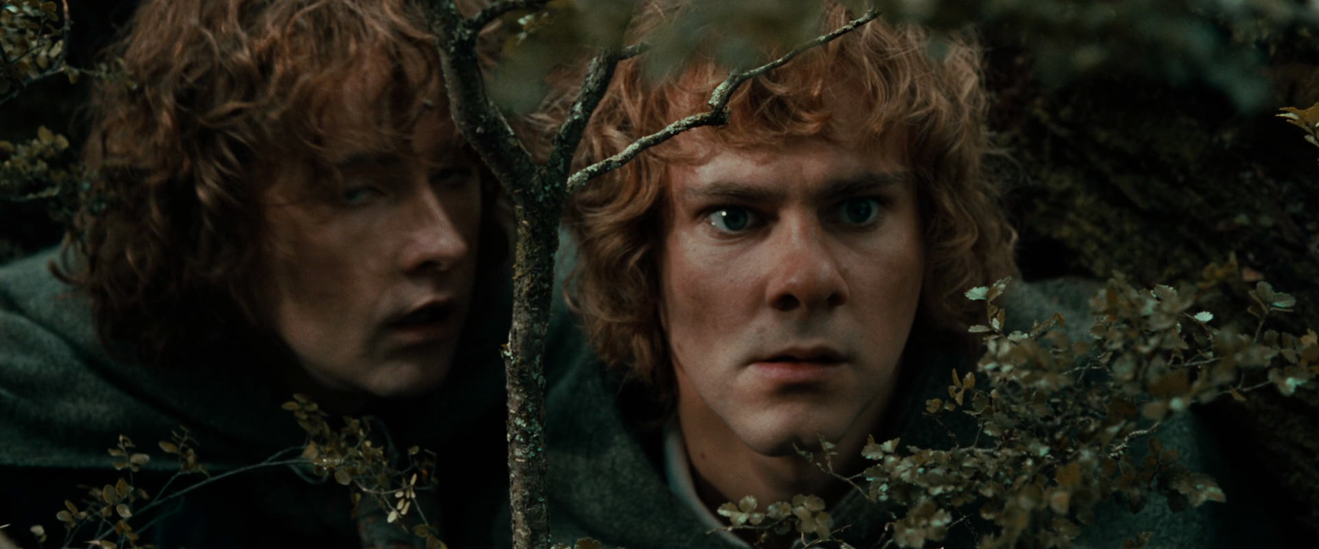 The Lord of the Rings: The Fellowship of the Ring (2001) screencap 22044