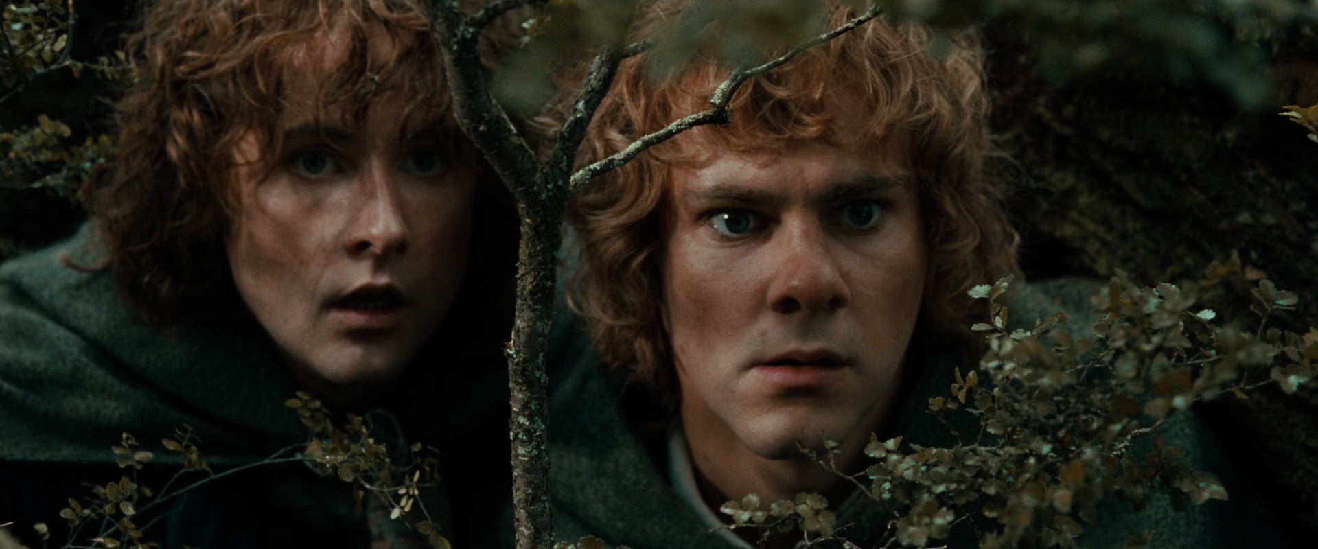 The Lord of the Rings: The Fellowship of the Ring (2001) movie still 22045