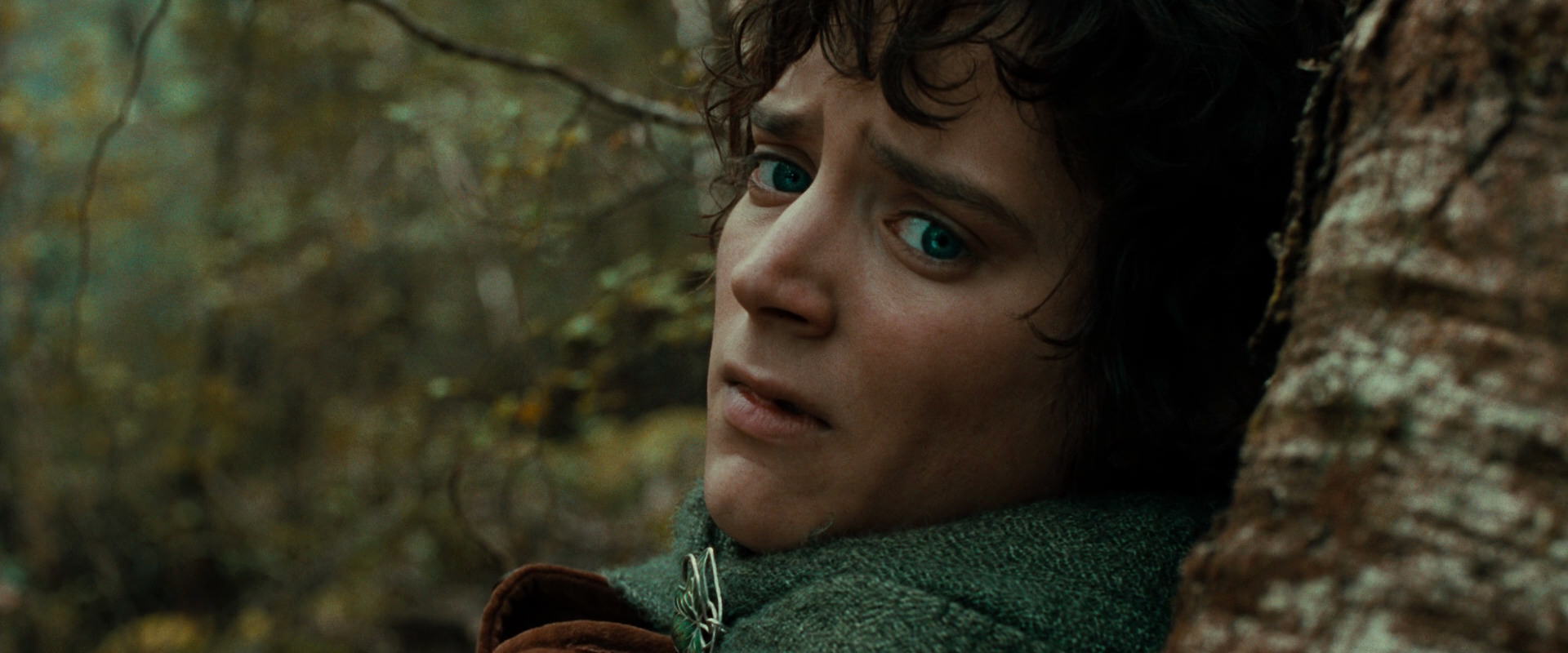 The Lord of the Rings: The Fellowship of the Ring (2001) HD screenshot 22046