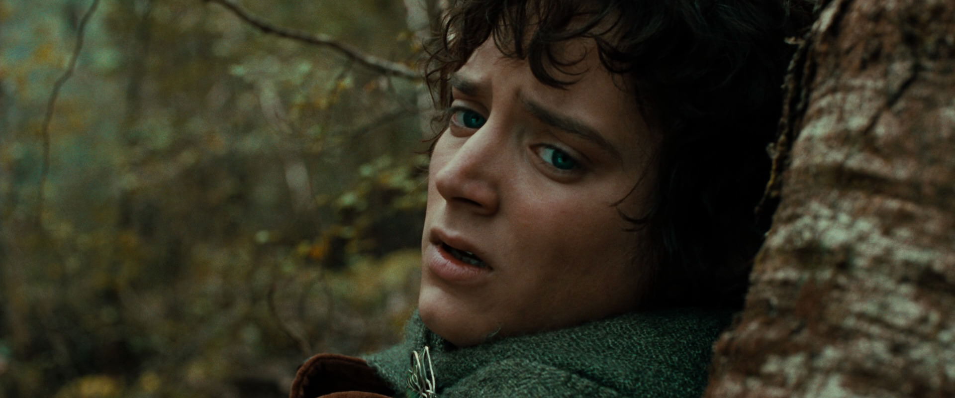 The Lord of the Rings: The Fellowship of the Ring (2001) HD screenshot 22049