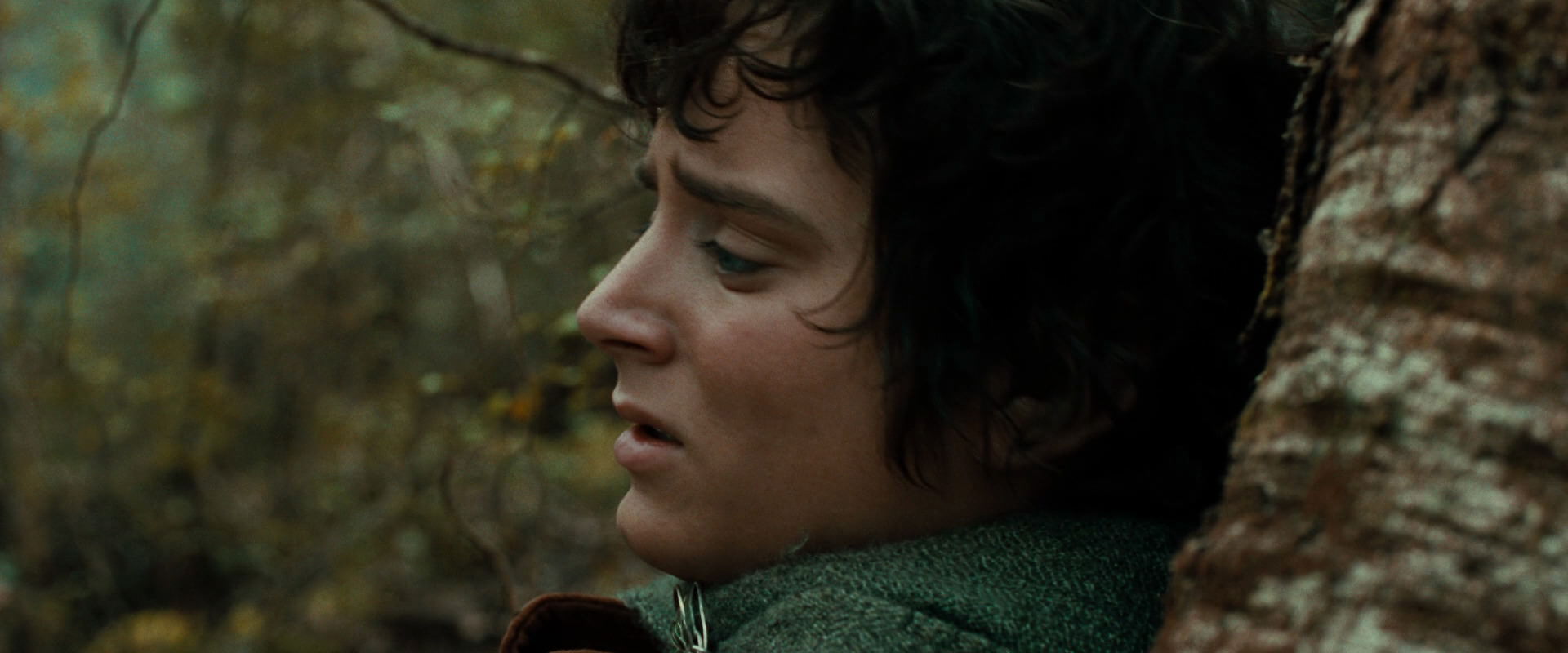 The Lord of the Rings: The Fellowship of the Ring (2001) screencap 22050