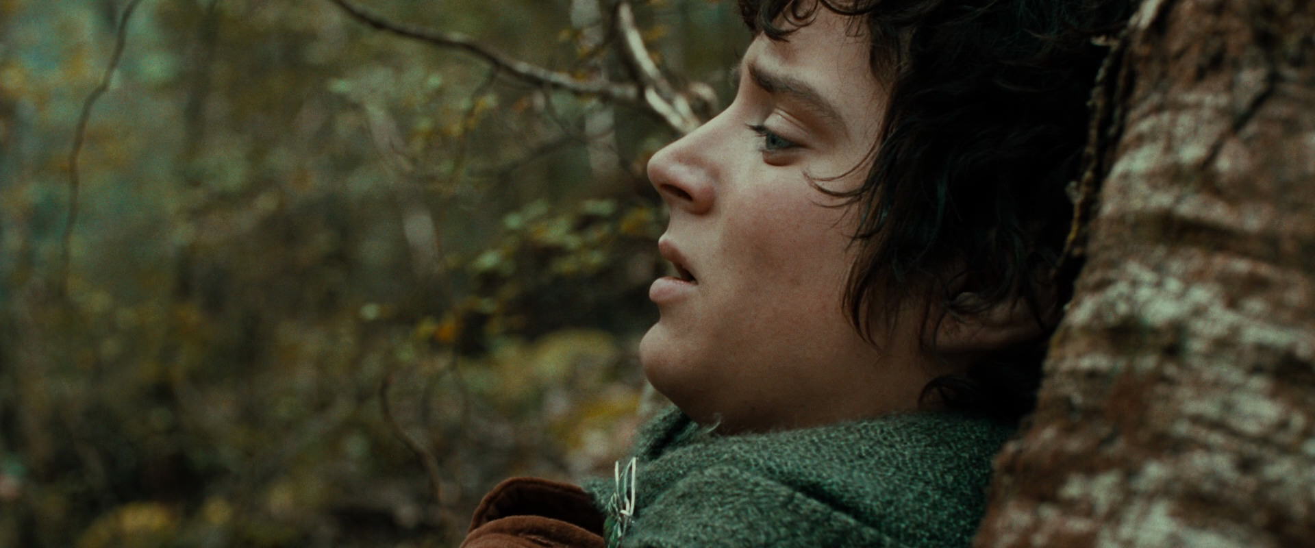 The Lord of the Rings: The Fellowship of the Ring (2001) HD screenshot 22052