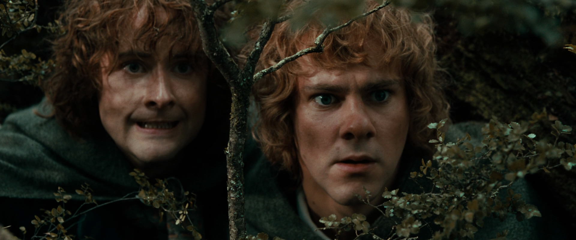The Lord of the Rings: The Fellowship of the Ring (2001) screencap 22053