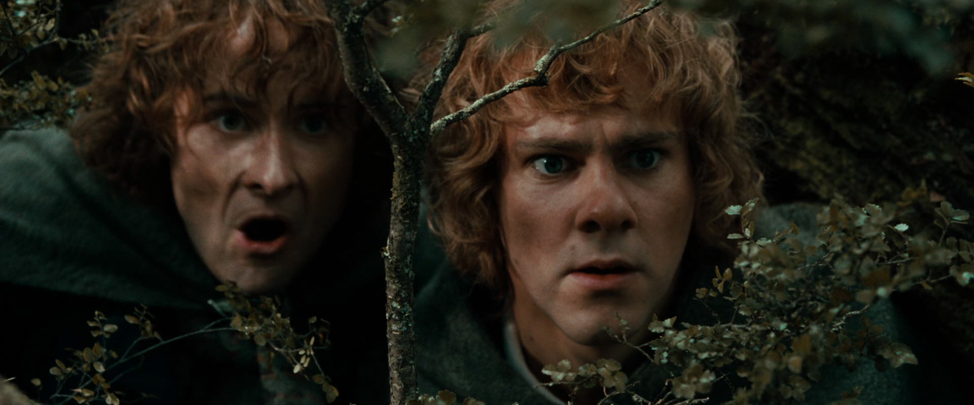 The Lord of the Rings: The Fellowship of the Ring (2001) movie still 22054