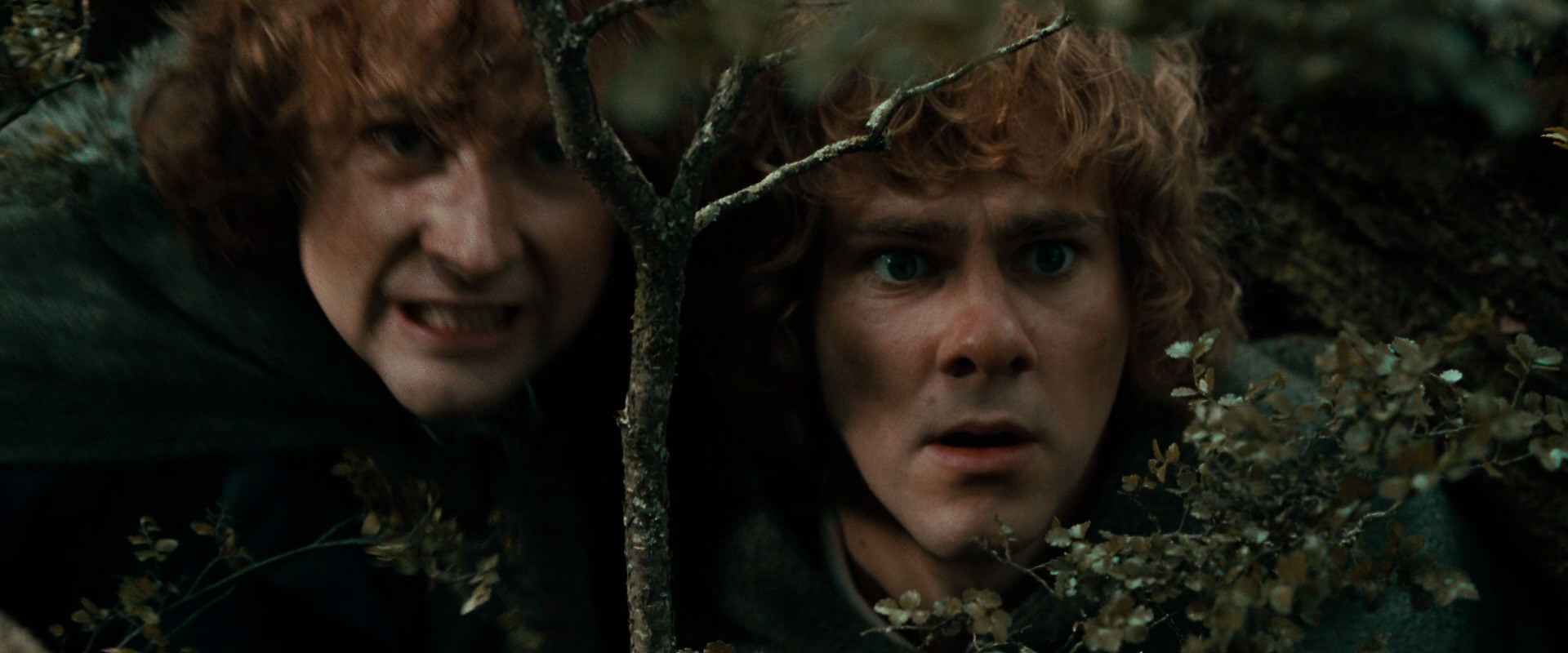 The Lord of the Rings: The Fellowship of the Ring (2001) HD screenshot 22055