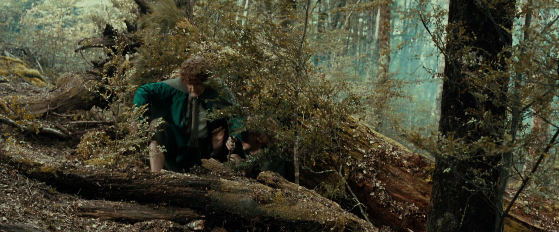 The Lord of the Rings: The Fellowship of the Ring (2001) screencap 22056