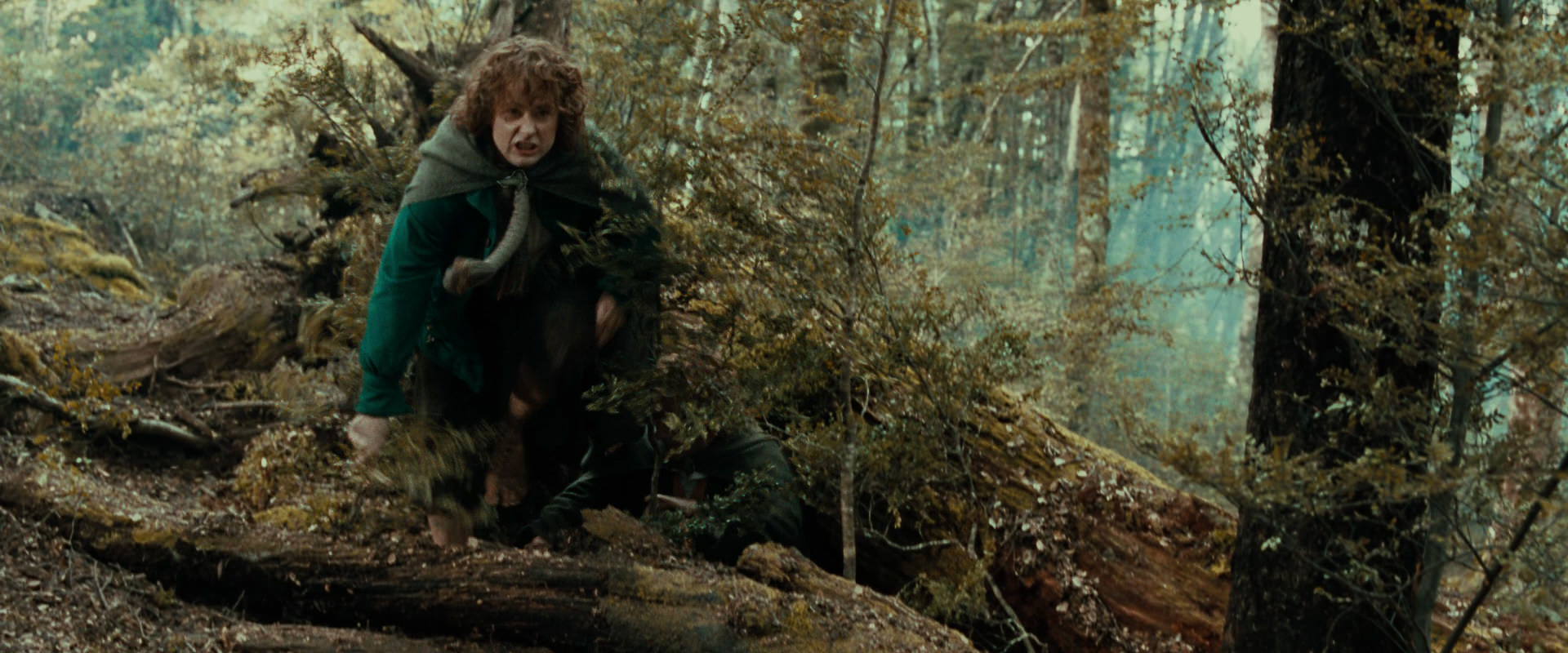 The Lord of the Rings: The Fellowship of the Ring (2001) movie still 22057