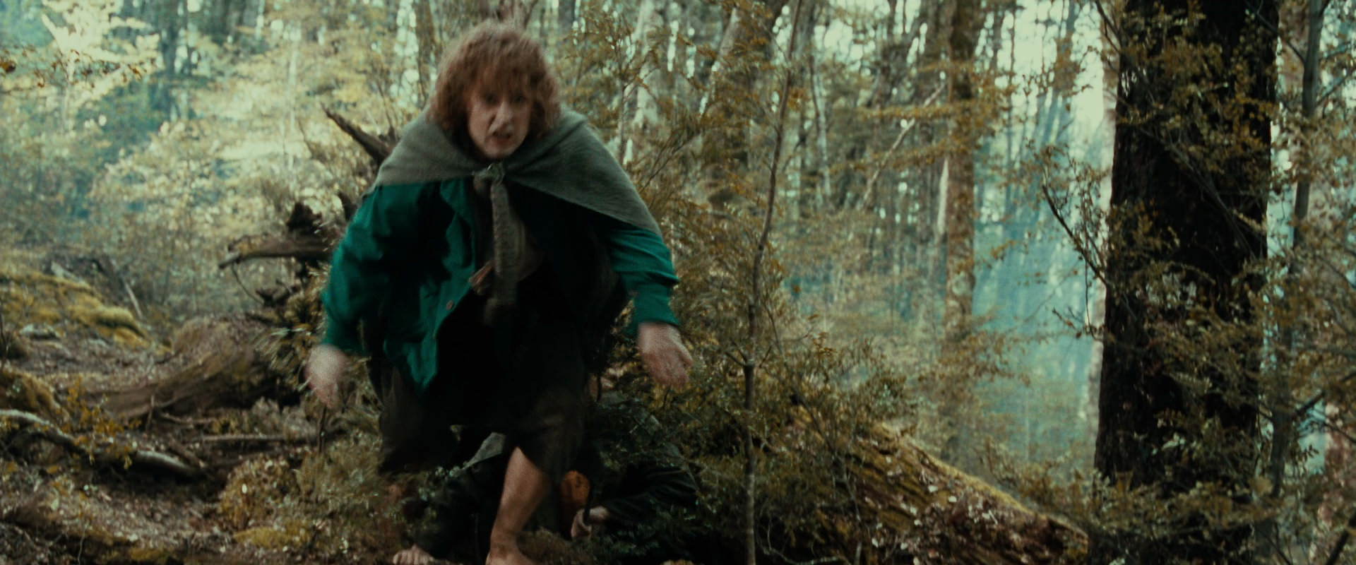 The Lord of the Rings: The Fellowship of the Ring (2001) HD screenshot 22058