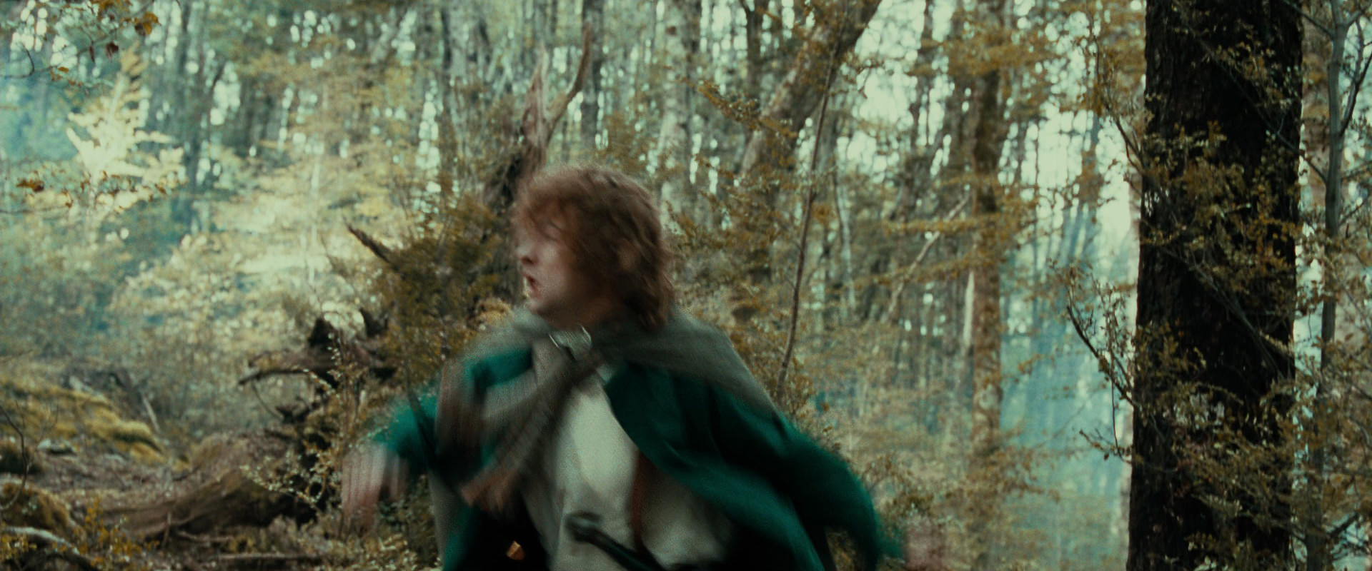 The Lord of the Rings: The Fellowship of the Ring (2001) screencap 22059