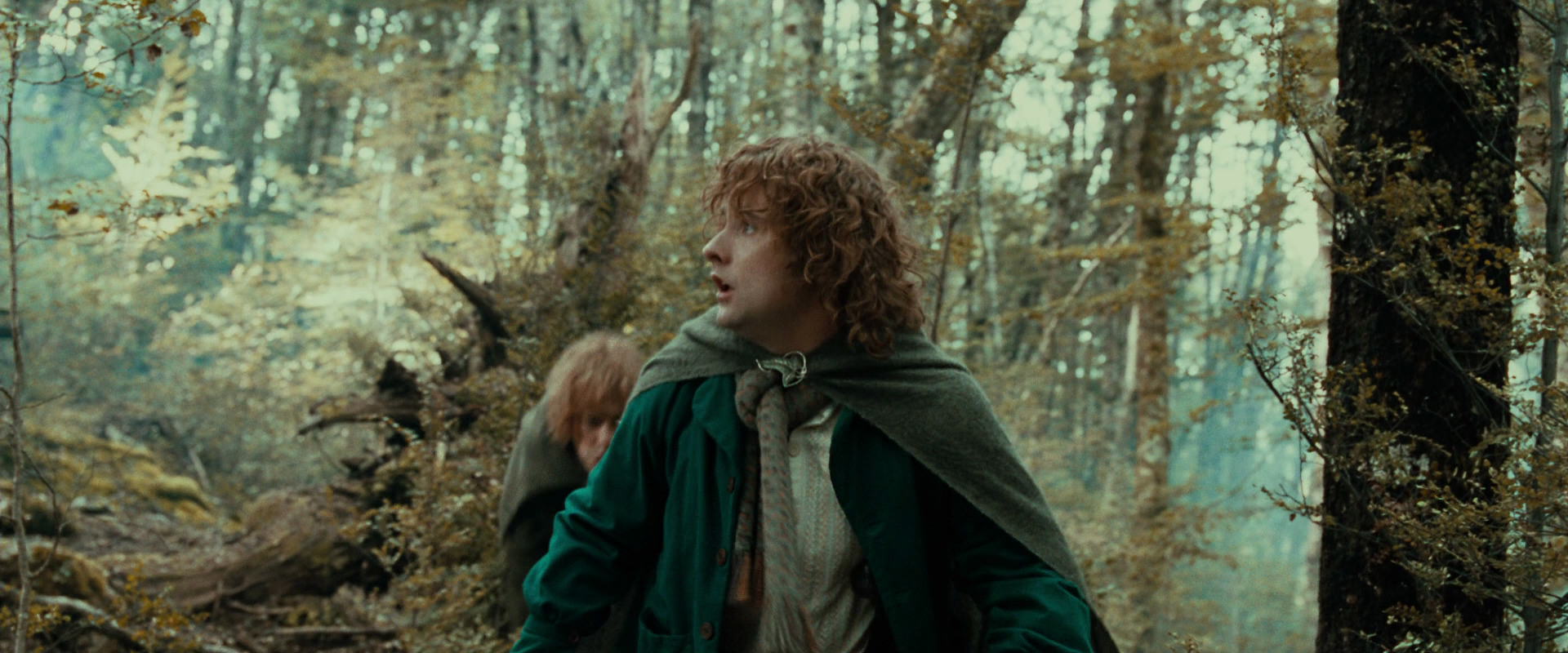 The Lord of the Rings: The Fellowship of the Ring (2001) movie still 22060