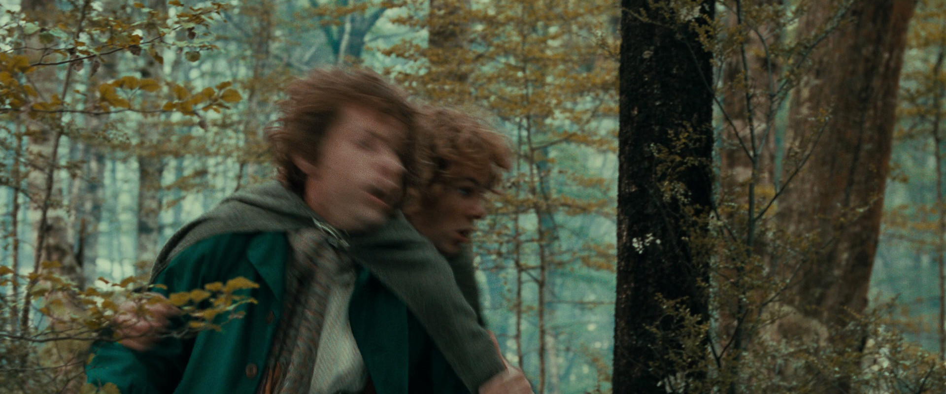 The Lord of the Rings: The Fellowship of the Ring (2001) HD screenshot 22061