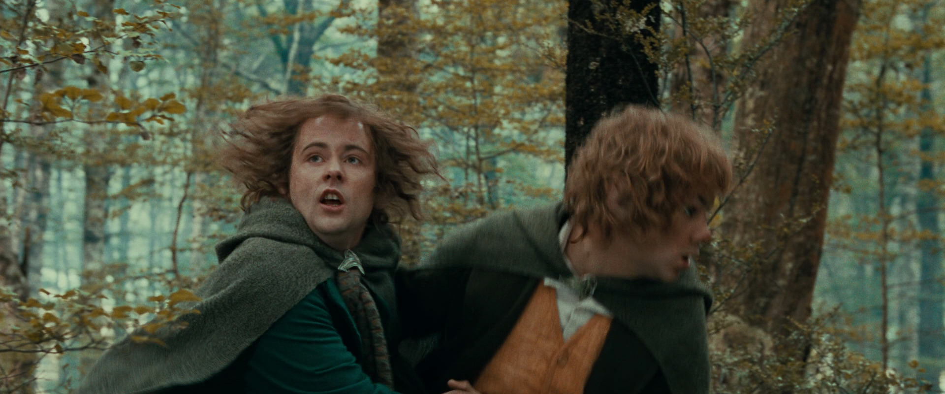 The Lord of the Rings: The Fellowship of the Ring (2001) screencap 22062