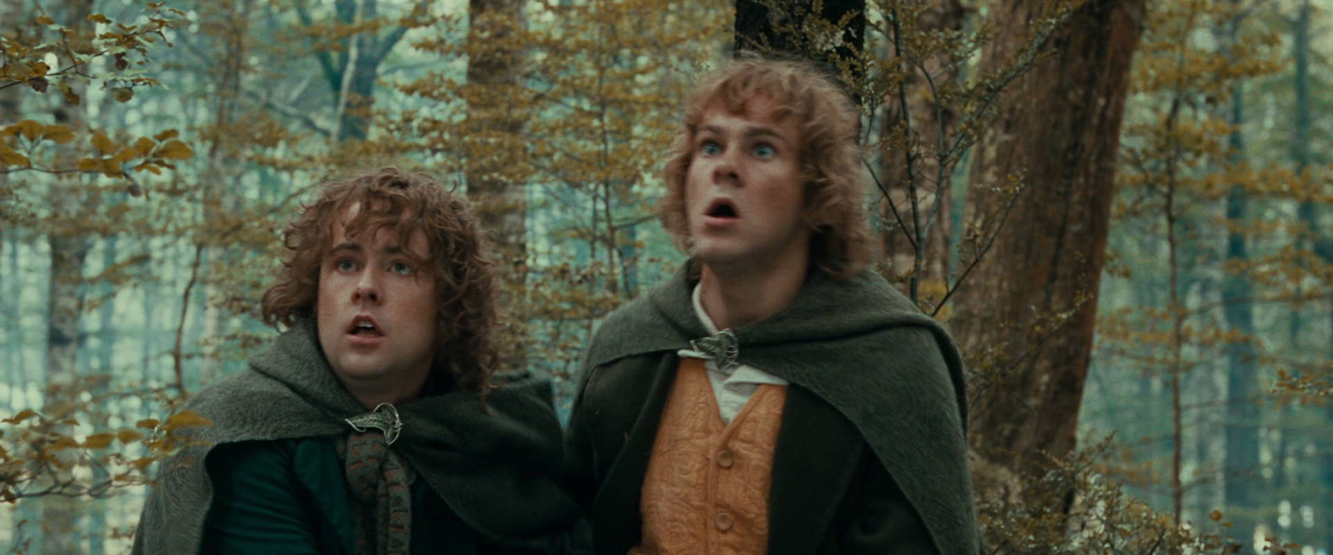 The Lord of the Rings: The Fellowship of the Ring (2001) movie still 22063