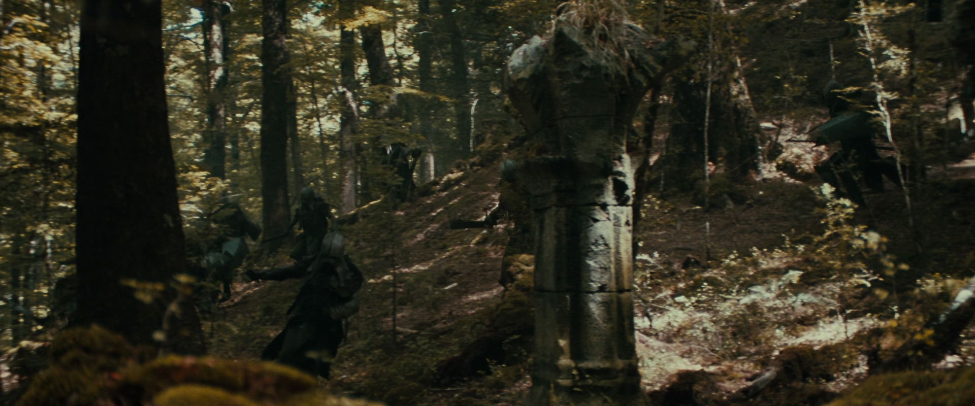 The Lord of the Rings: The Fellowship of the Ring (2001) screencap 22065