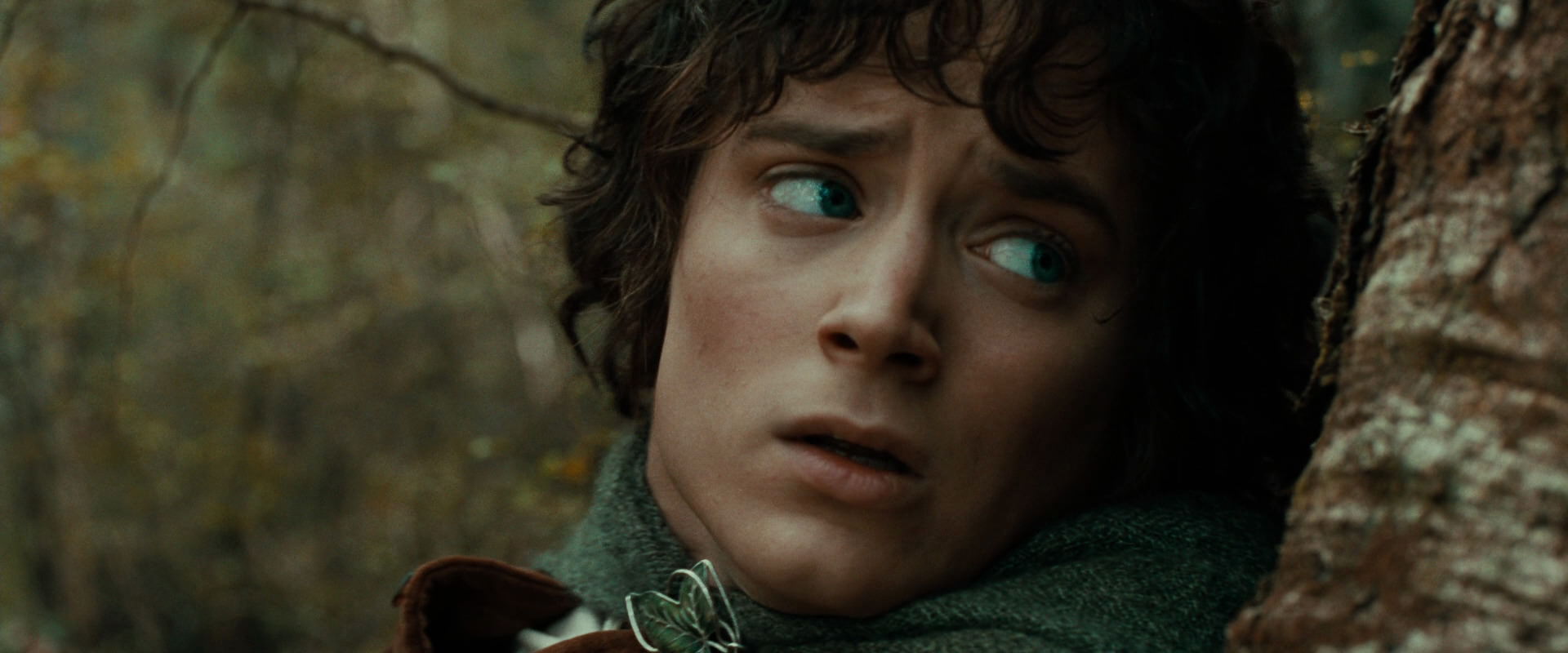 The Lord of the Rings: The Fellowship of the Ring (2001) movie still 22066