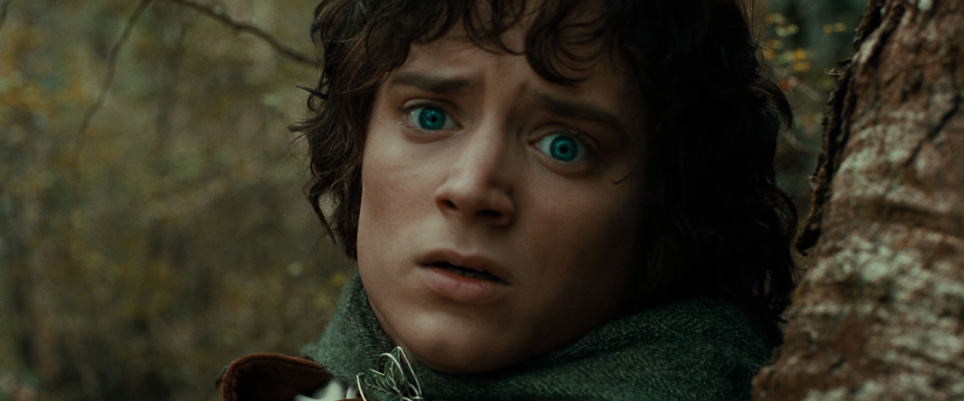 The Lord of the Rings: The Fellowship of the Ring (2001) HD screenshot 22067