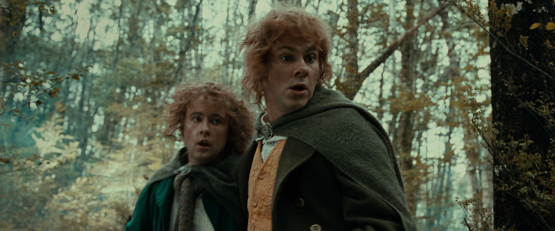 The Lord of the Rings: The Fellowship of the Ring (2001) screencap 22068