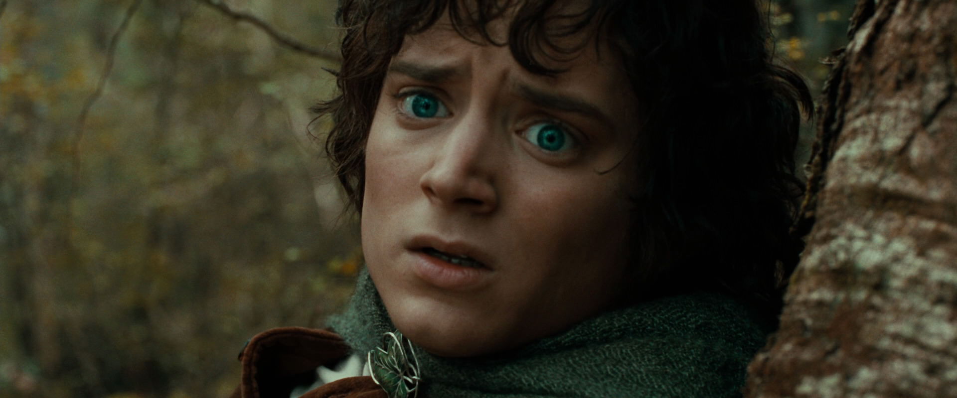 The Lord of the Rings: The Fellowship of the Ring (2001) movie still 22069