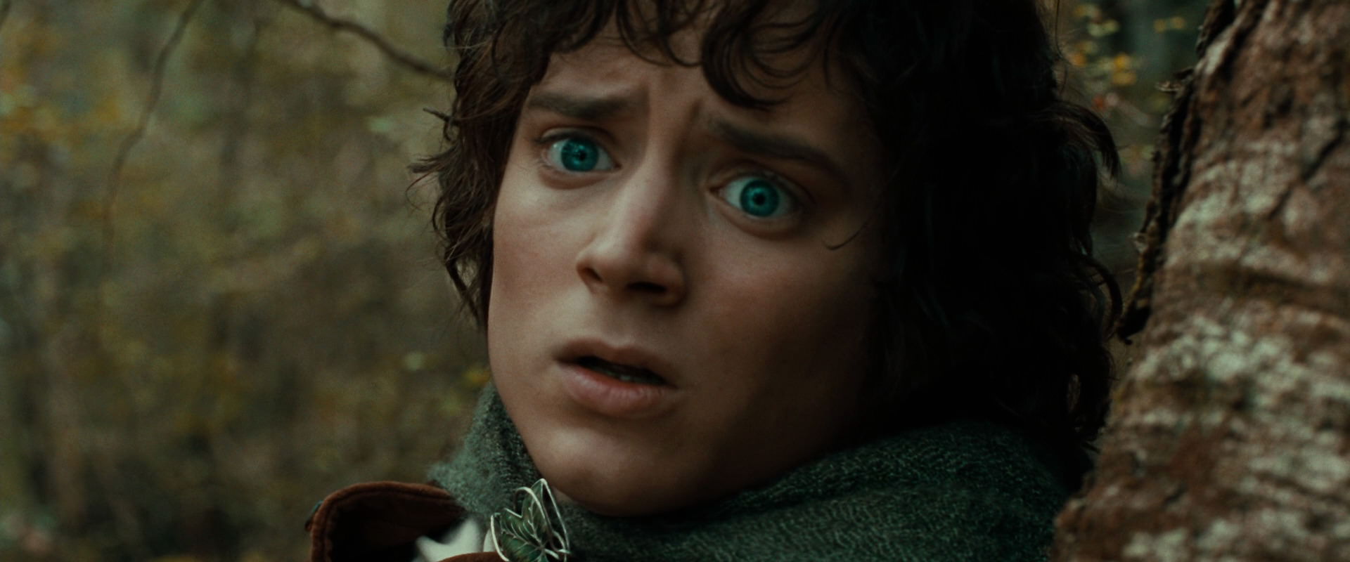 The Lord of the Rings: The Fellowship of the Ring (2001) HD screenshot 22070
