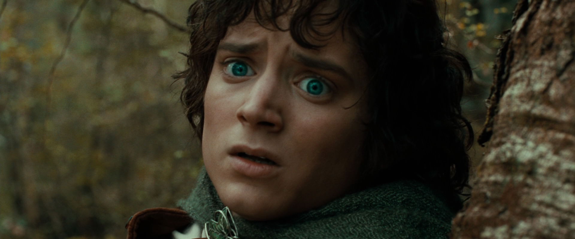 The Lord of the Rings: The Fellowship of the Ring (2001) screencap 22071