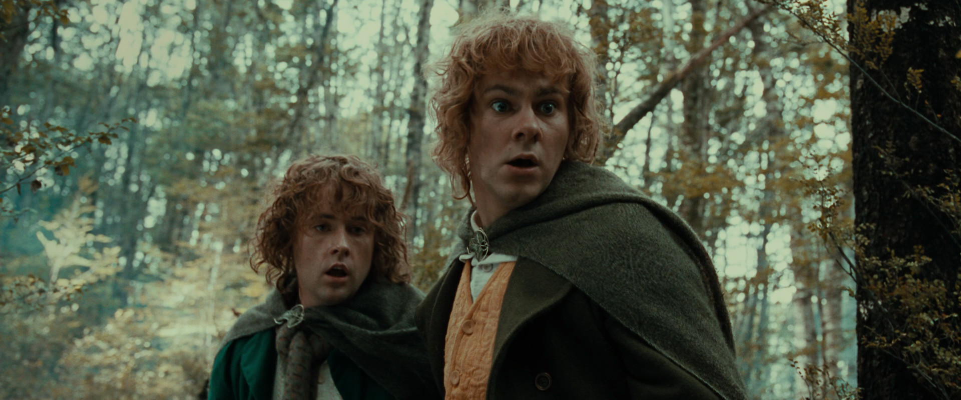 The Lord of the Rings: The Fellowship of the Ring (2001) movie still 22072
