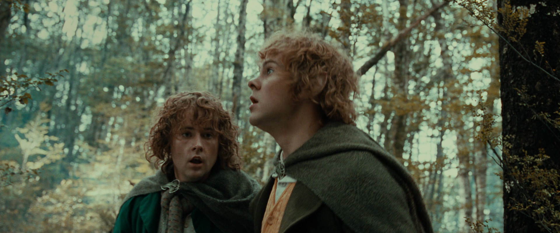 The Lord of the Rings: The Fellowship of the Ring (2001) HD screenshot 22073