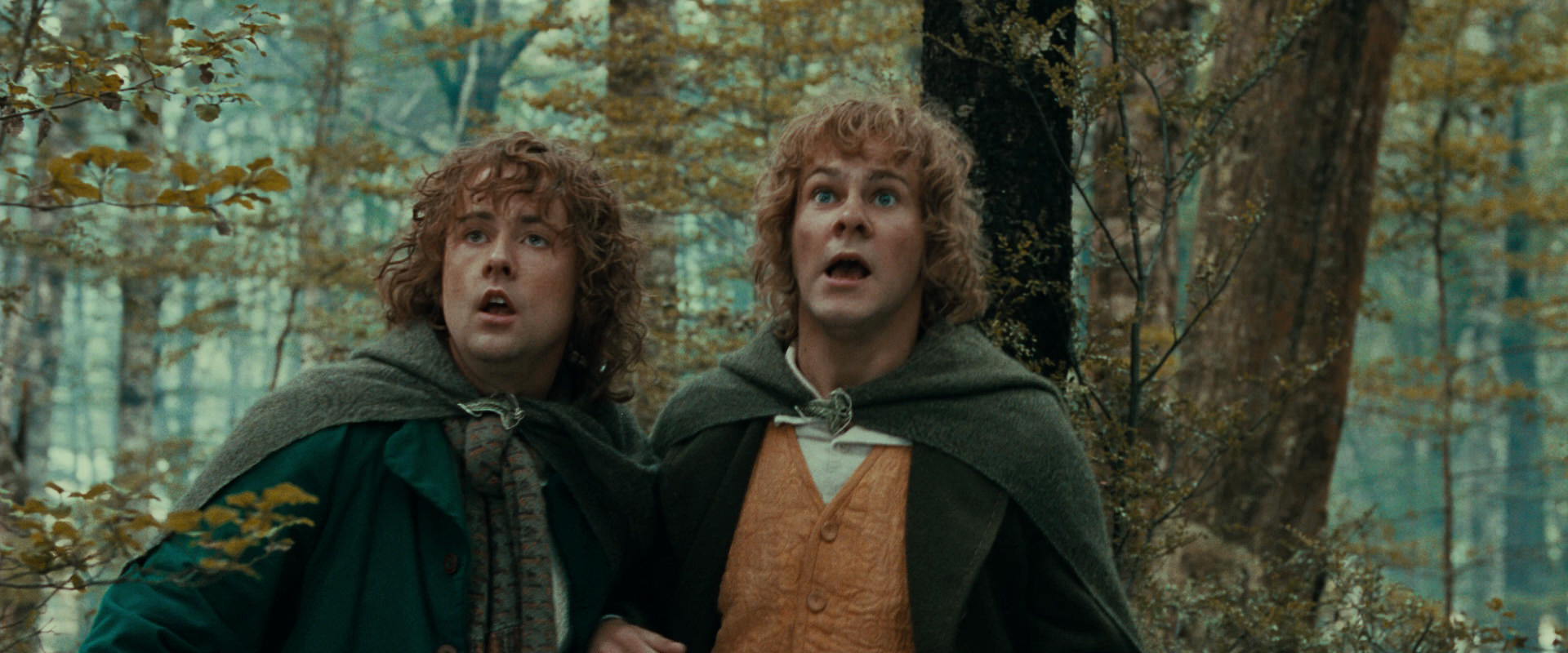 The Lord of the Rings: The Fellowship of the Ring (2001) screencap 22074