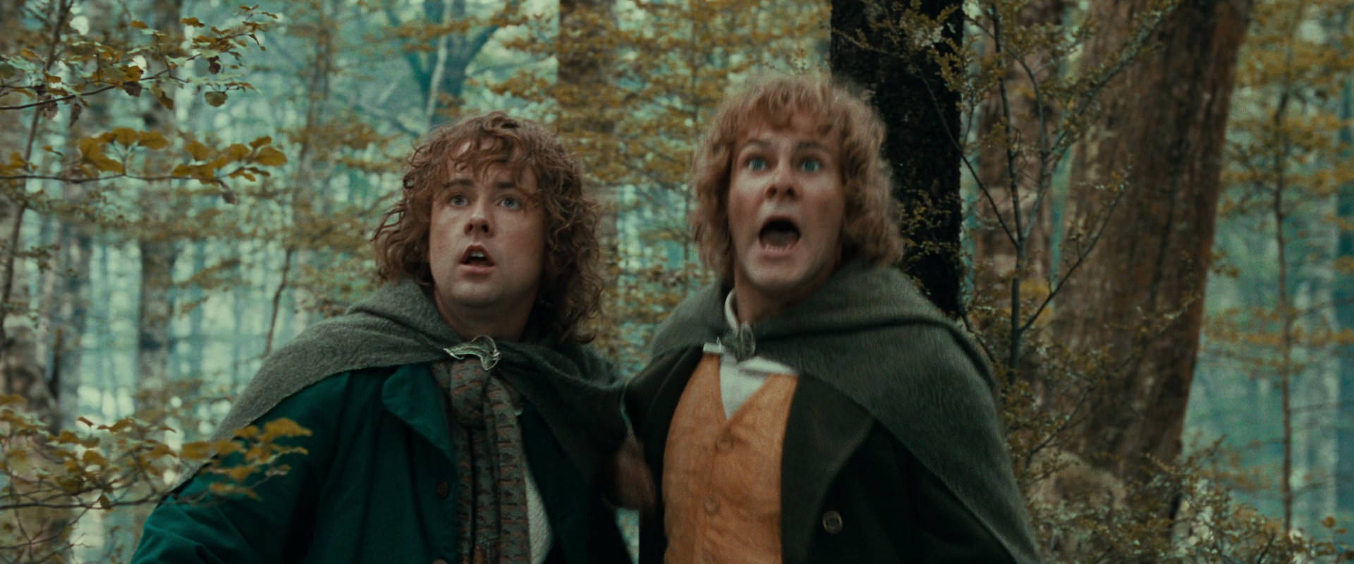 The Lord of the Rings: The Fellowship of the Ring (2001) movie still 22075