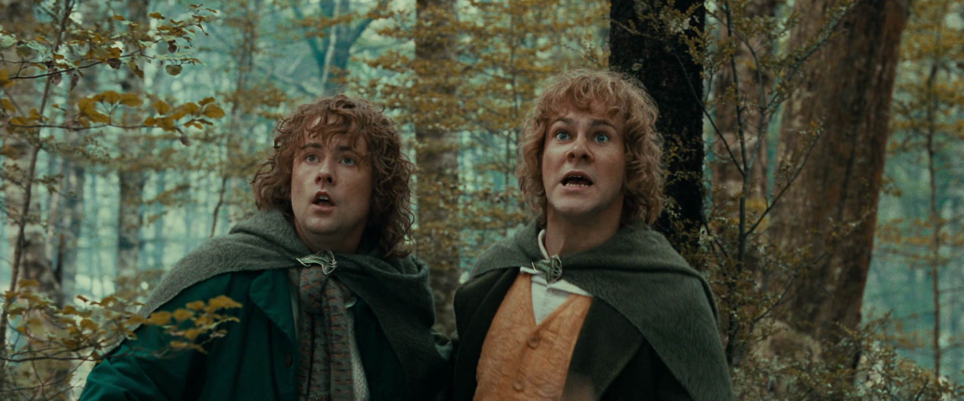 The Lord of the Rings: The Fellowship of the Ring (2001) HD screenshot 22076