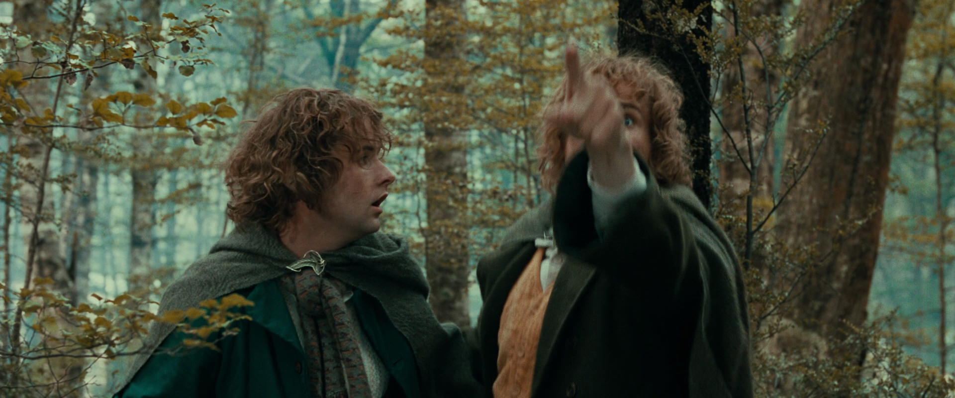 The Lord of the Rings: The Fellowship of the Ring (2001) screencap 22077