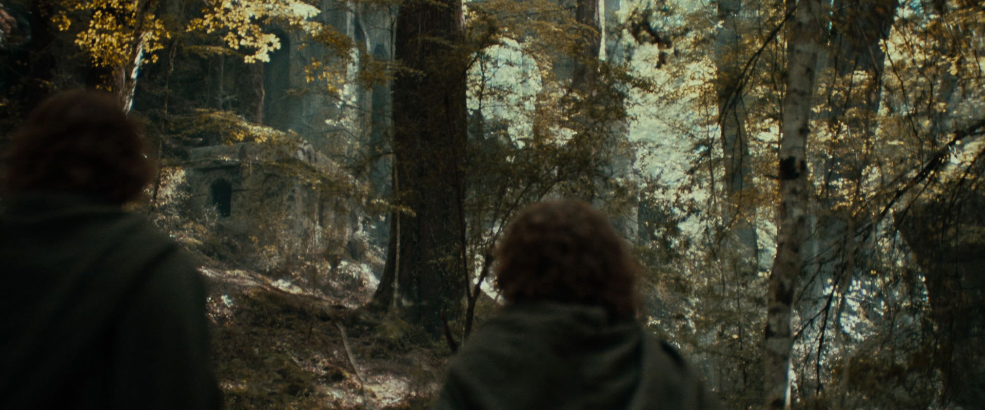 The Lord of the Rings: The Fellowship of the Ring (2001) movie still 22078