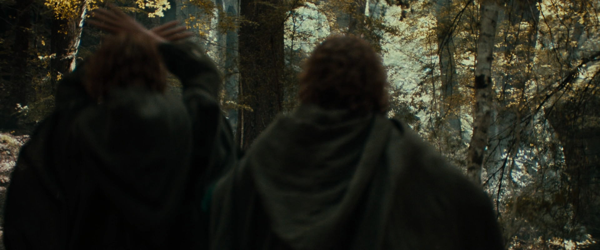 The Lord of the Rings: The Fellowship of the Ring (2001) HD screenshot 22079