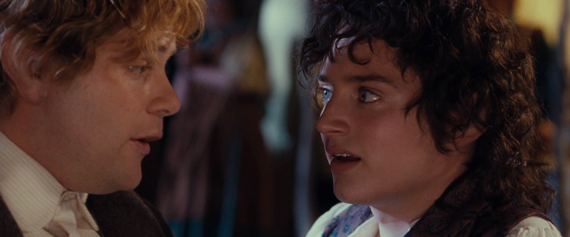 The Lord of the Rings: The Fellowship of the Ring (2001) screencap 2208