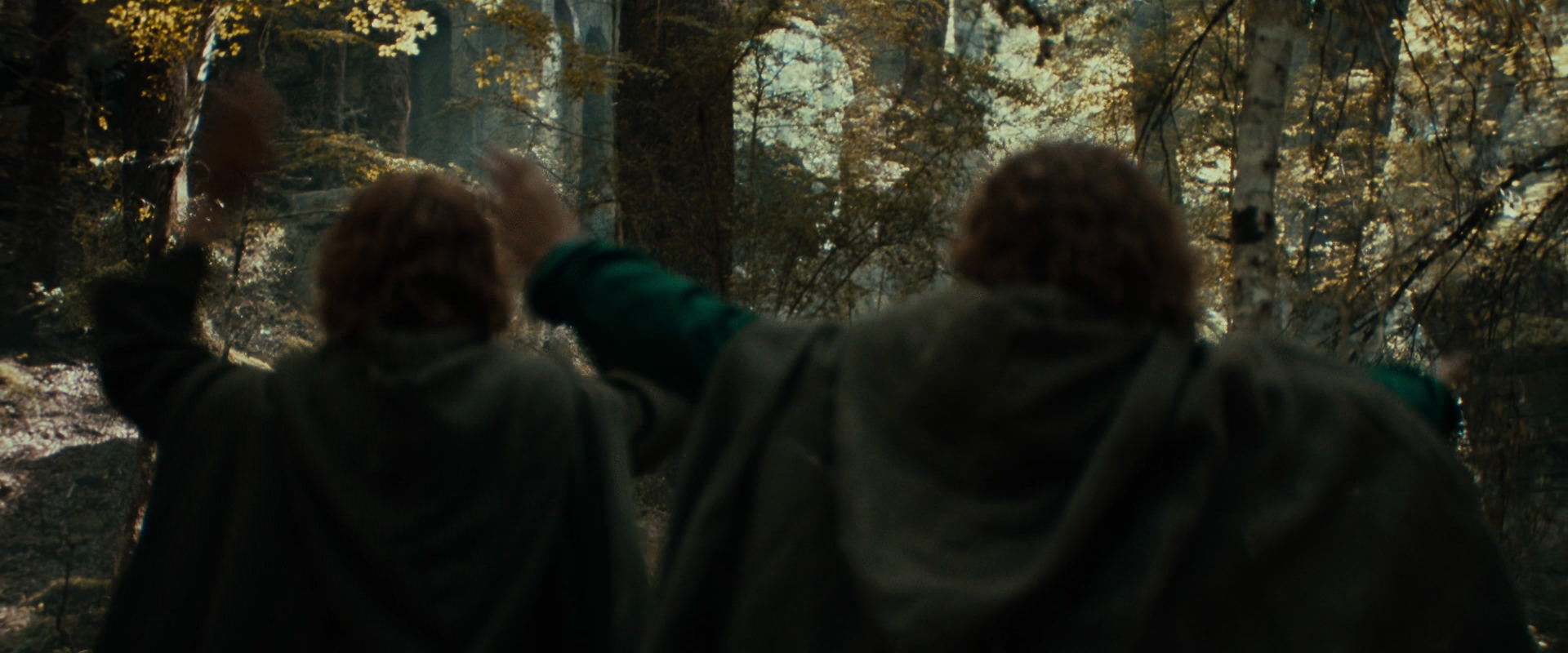The Lord of the Rings: The Fellowship of the Ring (2001) screencap 22080