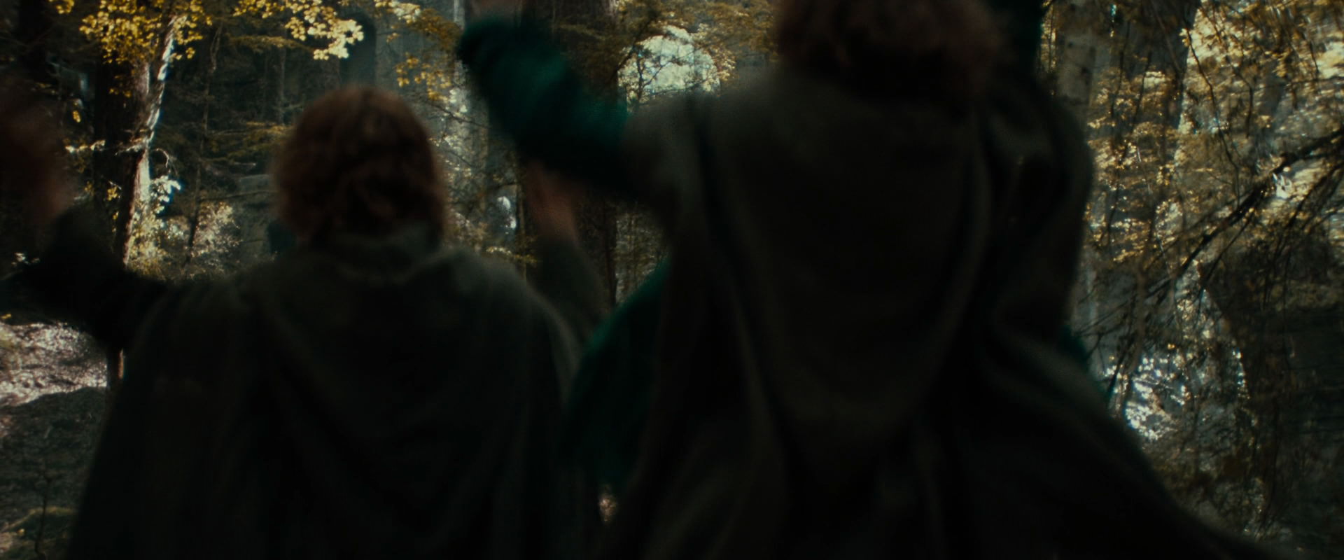 The Lord of the Rings: The Fellowship of the Ring (2001) movie still 22081
