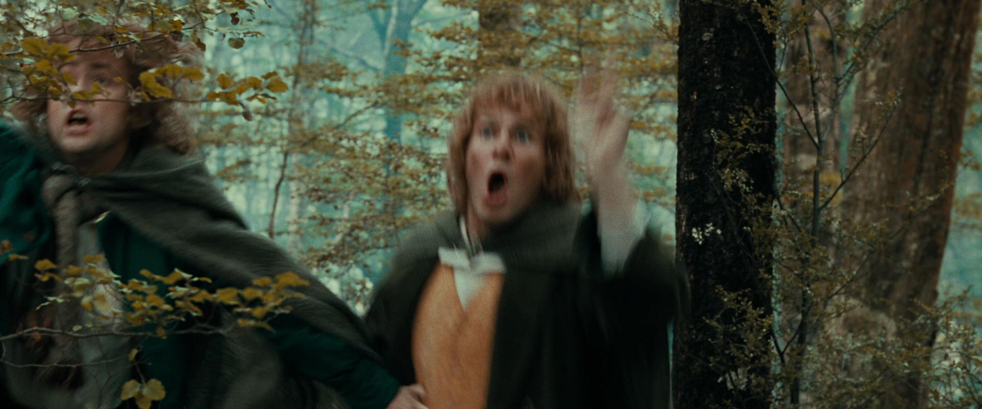 The Lord of the Rings: The Fellowship of the Ring (2001) HD screenshot 22082