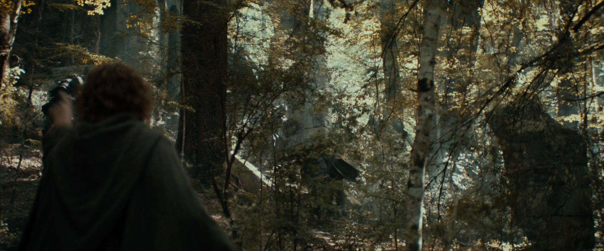 The Lord of the Rings: The Fellowship of the Ring (2001) screencap 22083